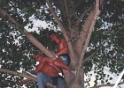 1995-Vinca 010
