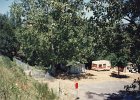 1995-Vinca 011