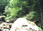1995-Vinca 025