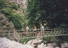 1995-Vinca 054