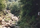 1995-Vinca 061
