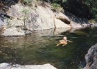 1995-Vinca 074
