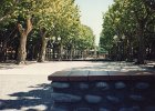 1995-Vinca 094