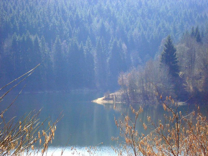 DSC01799.JPG