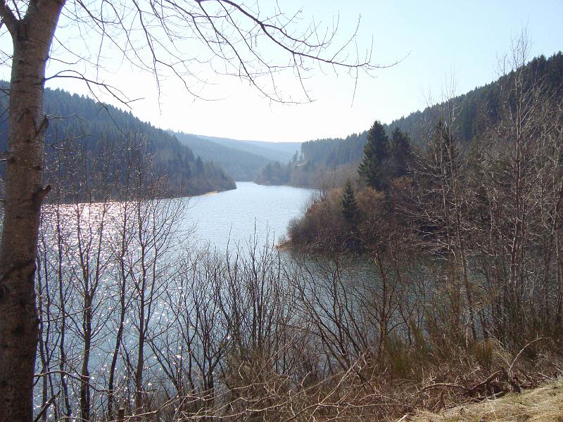 DSC01800.JPG