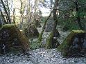 DSC01761